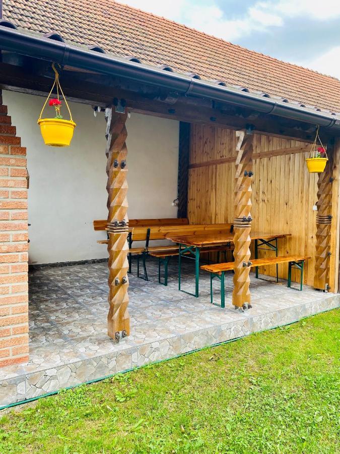 Casa Victoria Hotel Cartisoara Exterior photo